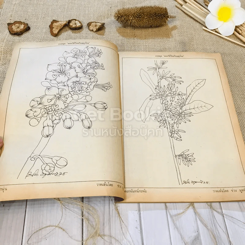 ฟ้าเมืองทอง ฉบับที่ 75 มิ.ย.2525 รูปที่ 8
