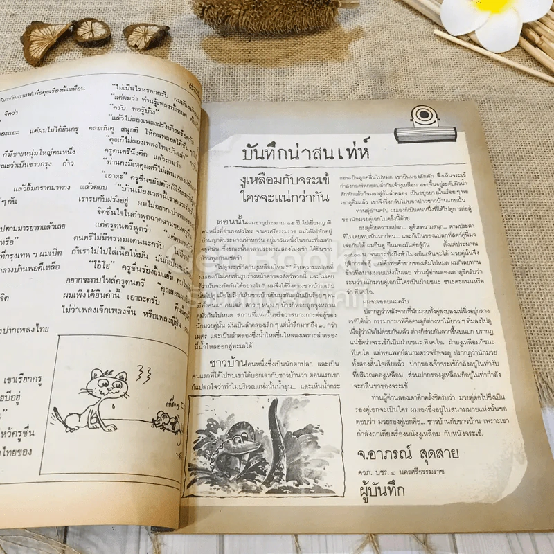 ฟ้าเมืองทอง ฉบับที่ 75 มิ.ย.2525 รูปที่ 11