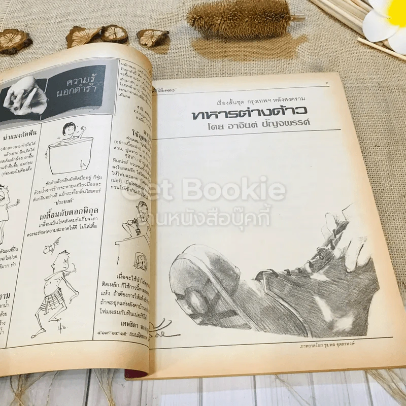 ฟ้าเมืองทอง ฉบับที่ 85 เม.ย.2526 รูปที่ 9