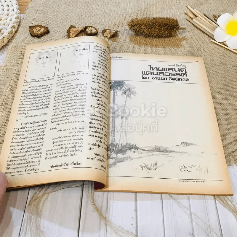 ฟ้าเมืองทอง ฉบับที่ 85 เม.ย.2526 รูปที่ 14