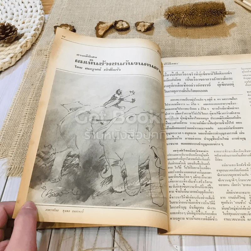 ฟ้าเมืองทอง ฉบับที่ 74 พ.ค.2525 รูปที่ 12