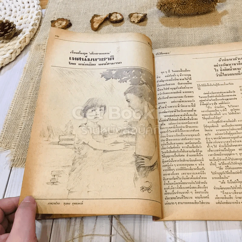 ฟ้าเมืองทอง ฉบับที่ 74 พ.ค.2525 รูปที่ 16