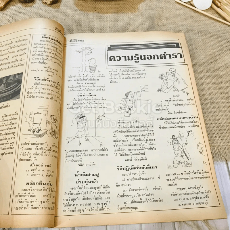 ฟ้าเมืองทอง ฉบับที่ 74 พ.ค.2525 รูปที่ 10