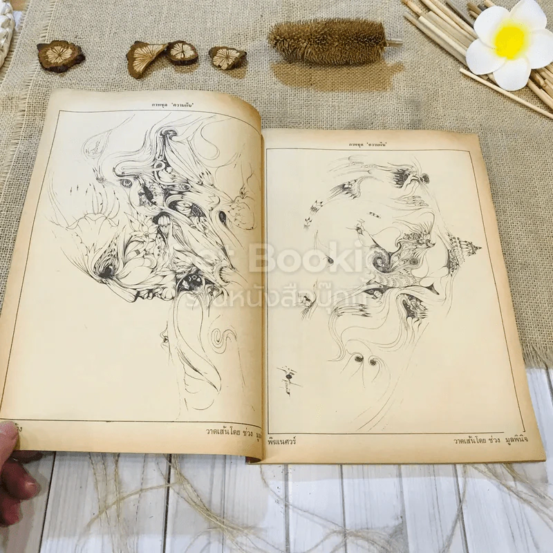 ฟ้าเมืองทอง ฉบับที่ 74 พ.ค.2525 รูปที่ 8
