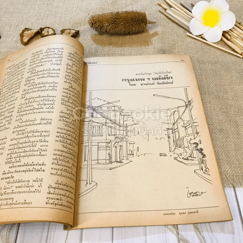 ฟ้าเมืองทอง ฉบับที่ 74 พ.ค.2525 รูปที่ 22