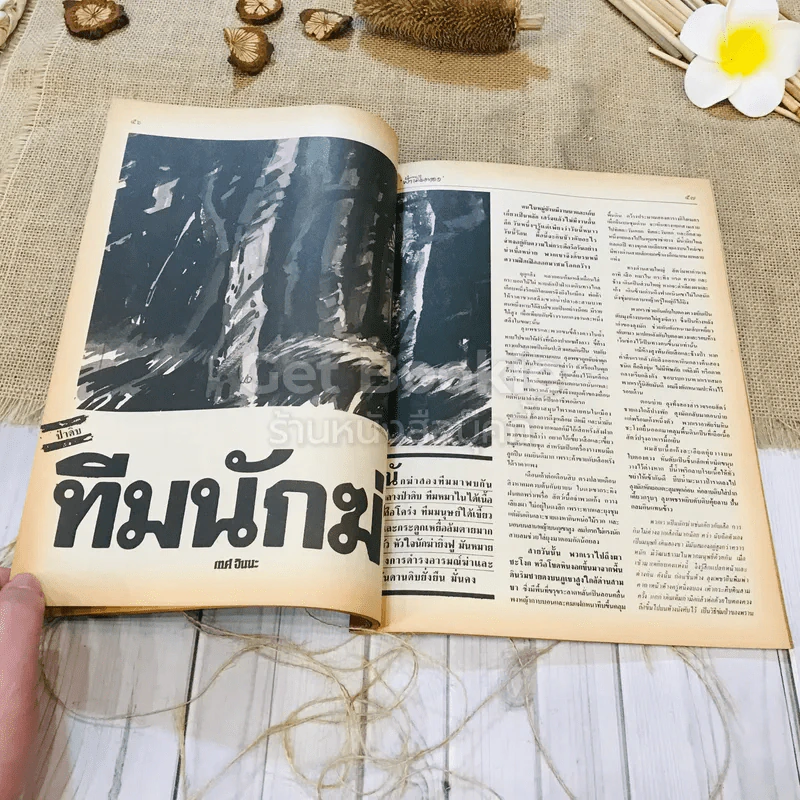 ฟ้าเมืองทอง ฉบับที่ 98 พ.ค.2527 รูปที่ 22