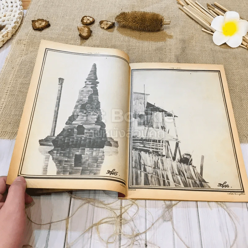 ฟ้าเมืองทอง ฉบับที่ 98 พ.ค.2527 รูปที่ 12
