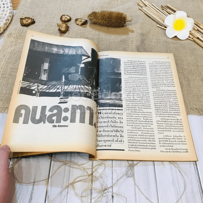 ฟ้าเมืองทอง ฉบับที่ 98 พ.ค.2527 รูปที่ 17