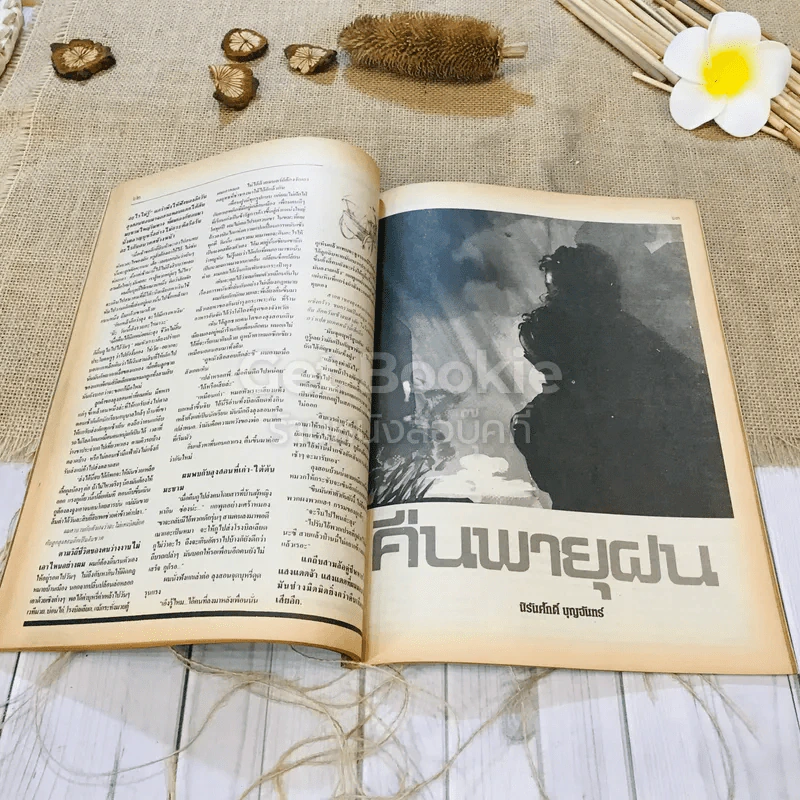 ฟ้าเมืองทอง ฉบับที่ 98 พ.ค.2527 รูปที่ 24