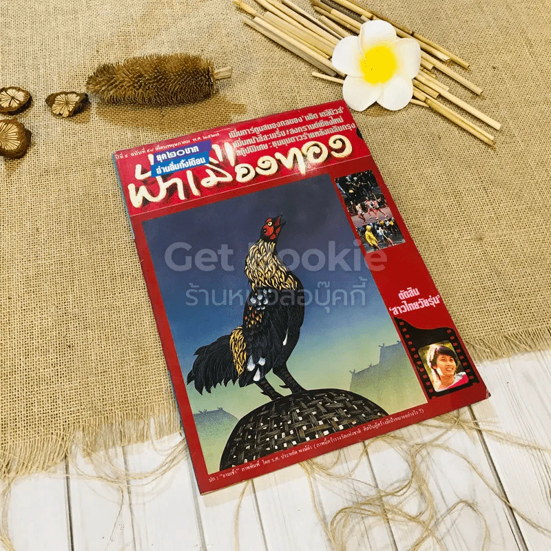 ฟ้าเมืองทอง ฉบับที่ 98 พ.ค.2527 รูปที่ 1
