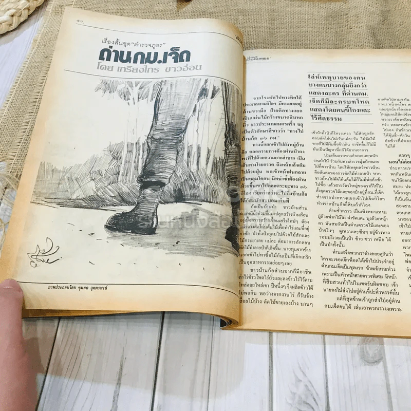 ฟ้าเมืองทอง ฉบับที่ 86 พ.ค.2526 รูปที่ 18