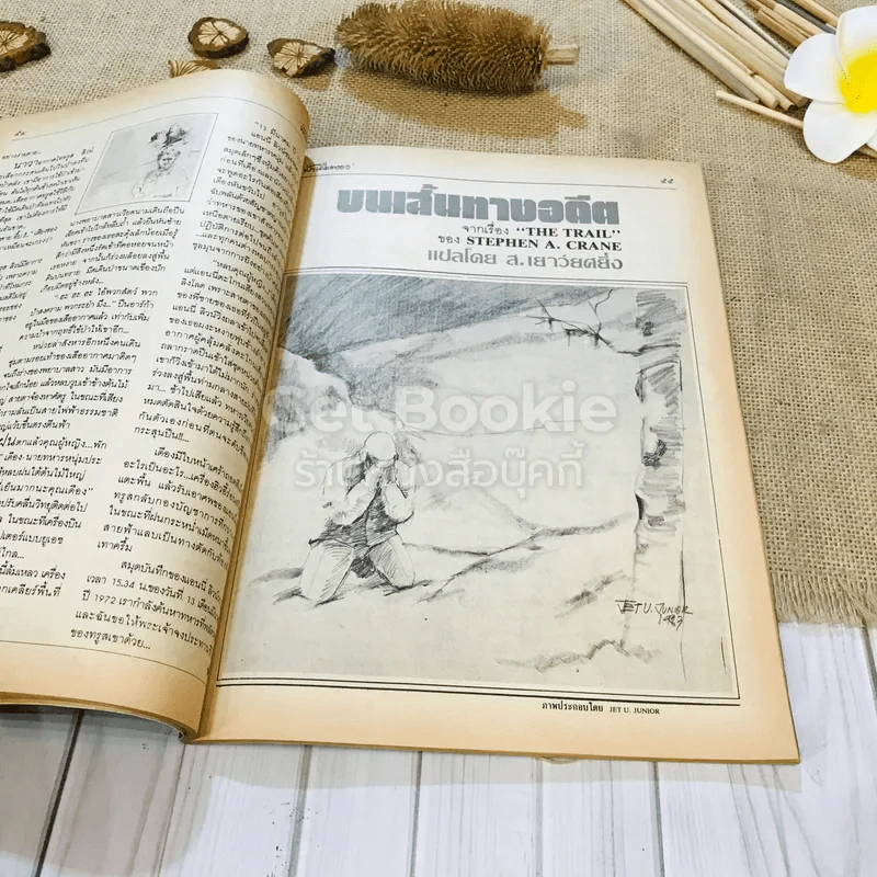 ฟ้าเมืองทอง ฉบับที่ 86 พ.ค.2526 รูปที่ 21