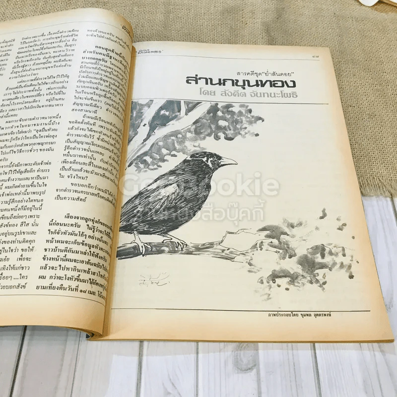 ฟ้าเมืองทอง ฉบับที่ 86 พ.ค.2526 รูปที่ 19