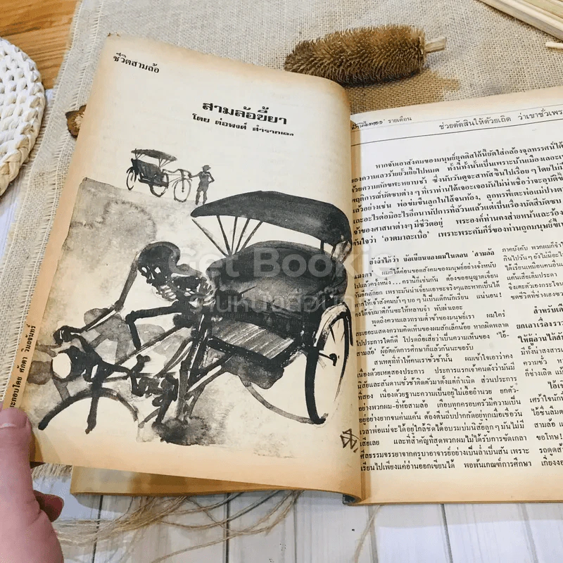 ฟ้าเมืองทอง ฉบับที่ 44 พ.ย.2522 รูปที่ 19
