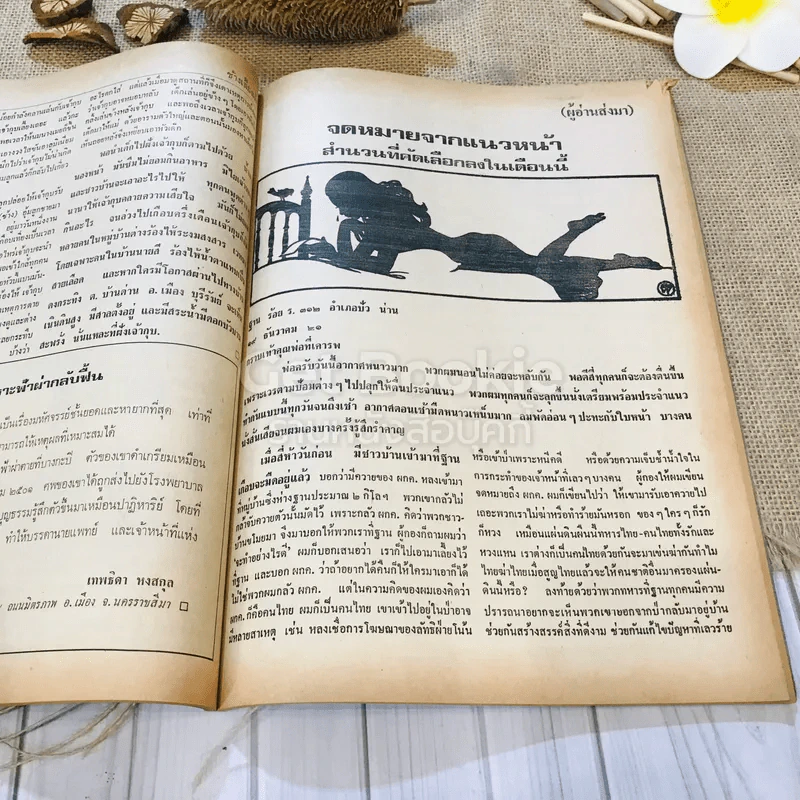 ฟ้าเมืองทอง ฉบับที่ 44 พ.ย.2522 รูปที่ 27