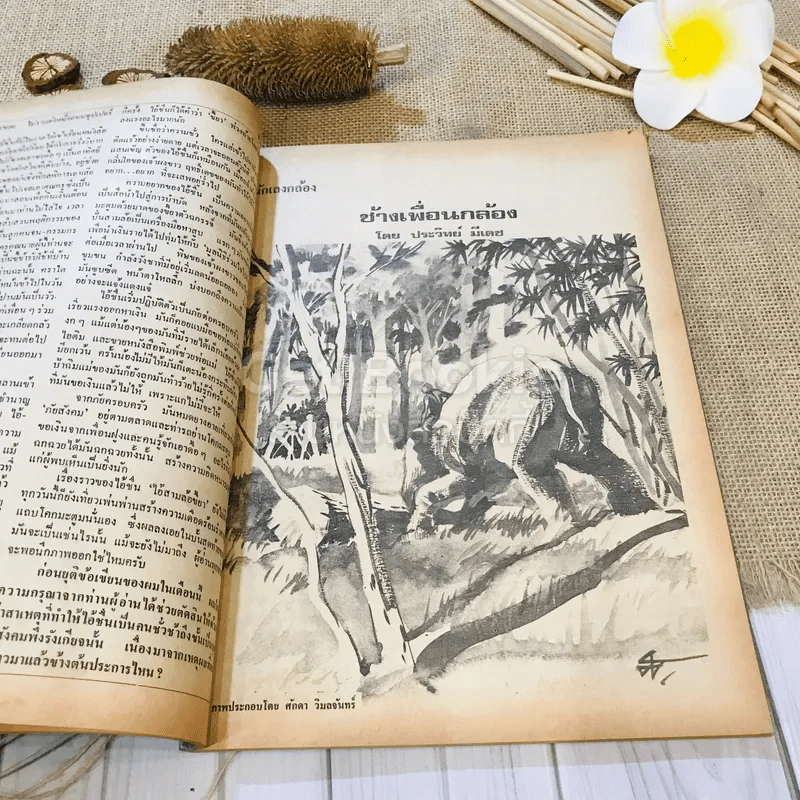 ฟ้าเมืองทอง ฉบับที่ 44 พ.ย.2522 รูปที่ 20