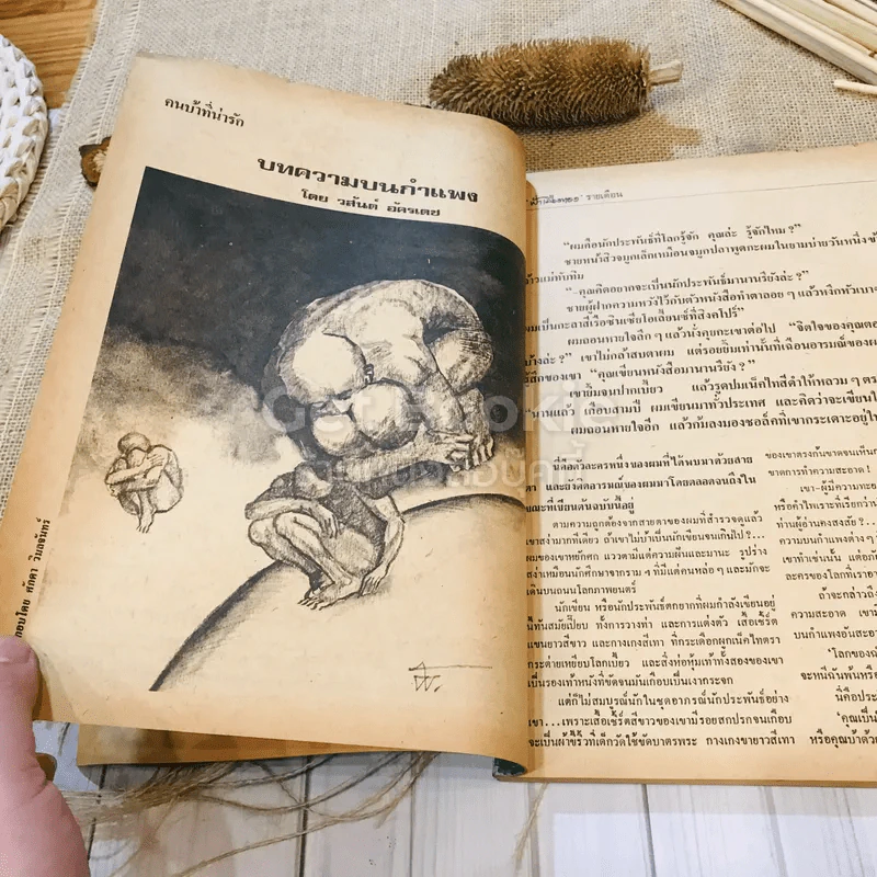 ฟ้าเมืองทอง ฉบับที่ 44 พ.ย.2522 รูปที่ 13