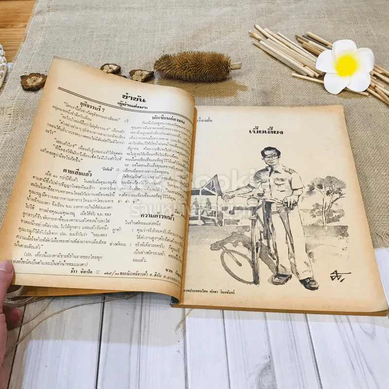 ฟ้าเมืองทอง ฉบับที่ 44 พ.ย.2522 รูปที่ 10