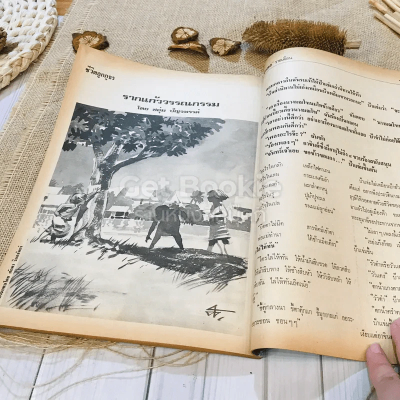 ฟ้าเมืองทอง ฉบับที่ 44 พ.ย.2522 รูปที่ 39