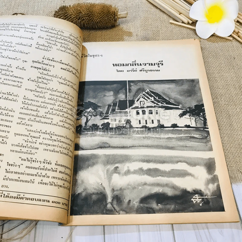 ฟ้าเมืองทอง ฉบับที่ 44 พ.ย.2522 รูปที่ 21
