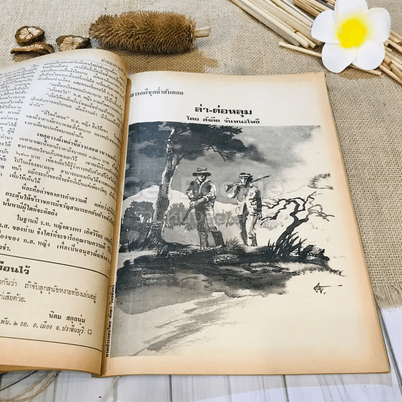 ฟ้าเมืองทอง ฉบับที่ 44 พ.ย.2522 รูปที่ 25