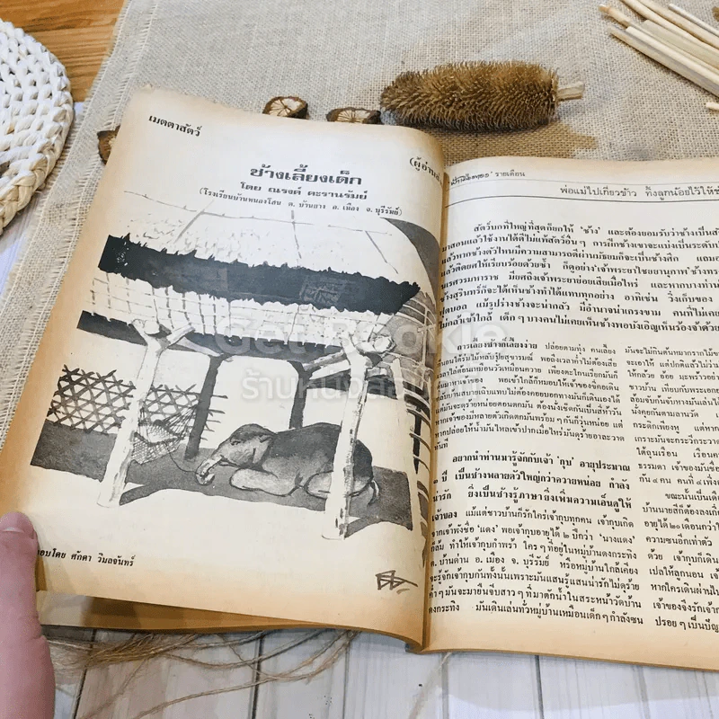 ฟ้าเมืองทอง ฉบับที่ 44 พ.ย.2522 รูปที่ 26
