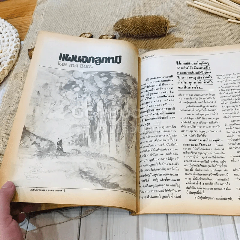 ฟ้าเมืองทอง ฉบับที่ 90 ก.ย.2526 รูปที่ 19