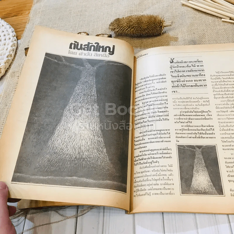 ฟ้าเมืองทอง ฉบับที่ 90 ก.ย.2526 รูปที่ 18