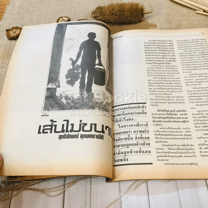 ฟ้าเมืองทอง ฉบับที่ 102 ก.ย.2527 รูปที่ 22