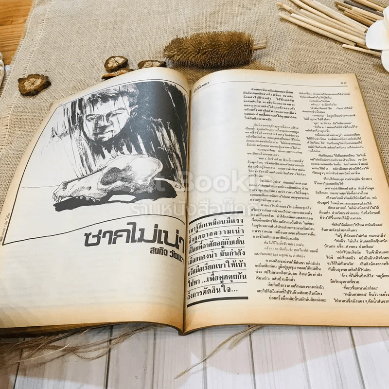 ฟ้าเมืองทอง ฉบับที่ 102 ก.ย.2527 รูปที่ 26