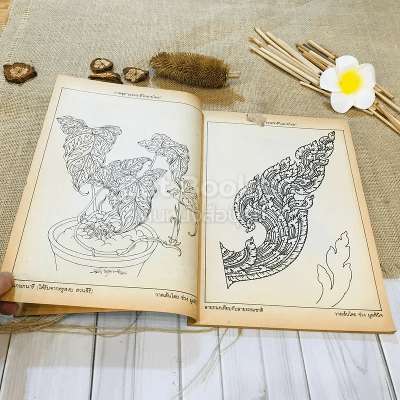 ฟ้าเมืองทอง ฉบับที่ 88 ก.ค.2526 รูปที่ 7