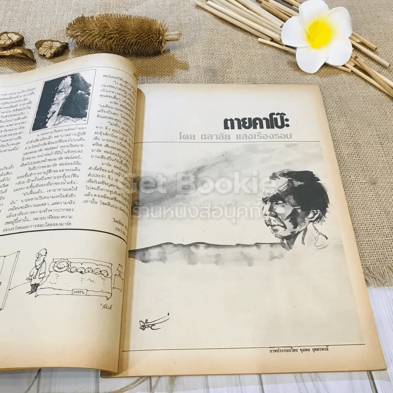 ฟ้าเมืองทอง ฉบับที่ 88 ก.ค.2526 รูปที่ 18