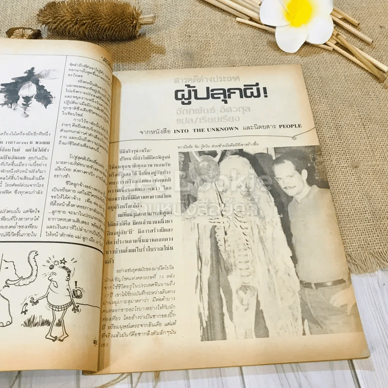 ฟ้าเมืองทอง ฉบับที่ 88 ก.ค.2526 รูปที่ 11