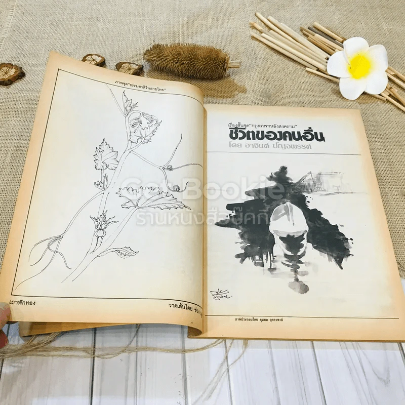 ฟ้าเมืองทอง ฉบับที่ 88 ก.ค.2526 รูปที่ 8