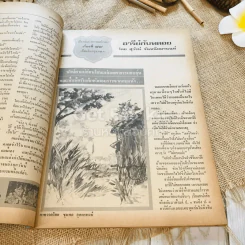 ฟ้าเมืองทอง ฉบับที่ 69 ธ.ค.2524 รูปที่ 16