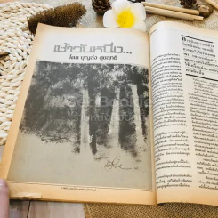ฟ้าเมืองทอง ฉบับที่ 95 ก.พ.2527 รูปที่ 29