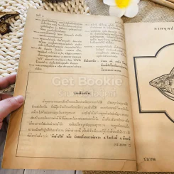 ฟ้าเมืองทอง ฉบับที่ 42 ก.ย.2522 รูปที่ 8