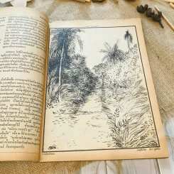 ฟ้าเมืองทอง ฉบับที่ 14 พ.ค.2520 รูปที่ 9