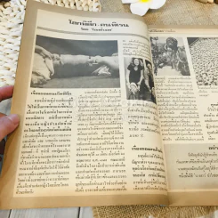 ฟ้าเมืองทอง ฉบับที่ 60 มี.ค.2524 รูปที่ 9