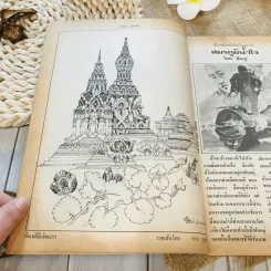 ฟ้าเมืองทอง ฉบับที่ 71 ก.พ.2525 รูปที่ 8