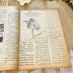 ฟ้าเมืองทอง ฉบับที่ 71 ก.พ.2525 รูปที่ 11