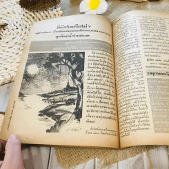 ฟ้าเมืองทอง ฉบับที่ 56 พ.ย.2523 รูปที่ 26