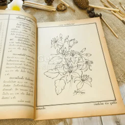 ฟ้าเมืองทอง ฉบับที่ 56 พ.ย.2523 รูปที่ 7