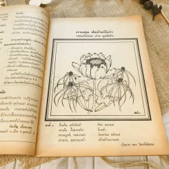 ฟ้าเมืองทอง ฉบับที่ 45 ธ.ค.2522 รูปที่ 8