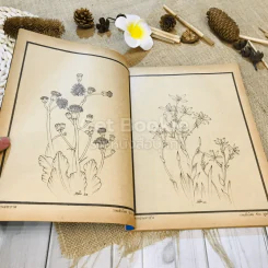 ฟ้าเมืองทอง ฉบับที่ 36 มี.ค.2522 รูปที่ 9