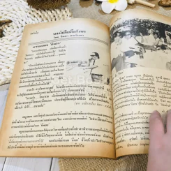 ฟ้าเมืองทอง ฉบับที่ 33 ธ.ค.2521 รูปที่ 27