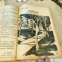 ฟ้าเมืองทอง ฉบับที่ 38 พ.ค.2522 รูปที่ 29