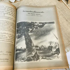 ฟ้าเมืองทอง ฉบับที่ 50 พ.ค.2523 รูปที่ 21