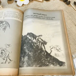 ฟ้าเมืองทอง ฉบับที่ 50 พ.ค.2523 รูปที่ 23