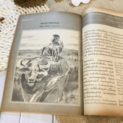 ฟ้าเมืองทอง ฉบับที่ 50 พ.ค.2523 รูปที่ 28
